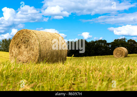 Heuballen auf dem Feld nach der Ernte, Landschaft Stockfoto