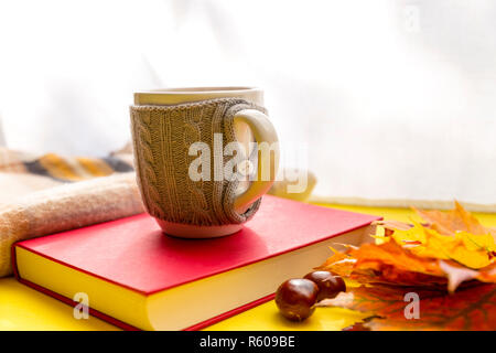 Blätter im Herbst, Buchen, Kastanien, Schal und eine Tasse heiße Schokolade. Herbst, Freizeit und Kaffeepause Konzept. Stockfoto