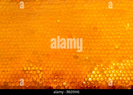 Hintergrundtextur und Muster eines Teils der Wachs Waben aus einem Bienenstock voller goldener Honig Stockfoto