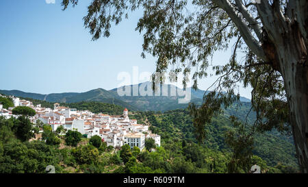 Die weißen Dörfer Andalusien im Korkeichenwald Stockfoto