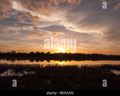 Atemberaubende helle Herbst Ernte sun set Szene über den See Wasser Reflexion reed Silhouette Stockfoto