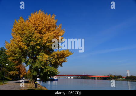 Brigittenauer Brücke über die Donau in Wien Stockfoto