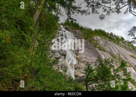 Shannon Falls, dem dritthöchsten Wasserfall in British Columbia, Kanada, wo das Wasser aus einer Höhe von 335 Meter fällt Stockfoto