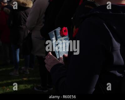 Gedenktag - 11. November Stockfoto