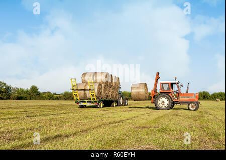 Landwirtschaftliche Szene. Traktor anheben Heu Ballen auf Barrow. Stockfoto