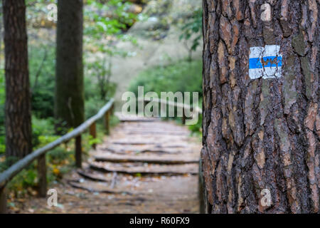 Herbst in der Region Elbsandsteingebirge Bad Schandau schrammsteine Stockfoto