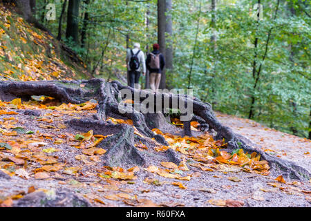 Herbst in der Region Elbsandsteingebirge Bad Schandau schrammsteine Stockfoto