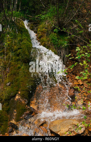 Bergbach-Wasserfall Stockfoto