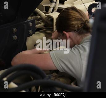 Us-Armee finden Spc. Heather Mclaughlin, ein radfahrzeug Mechaniker mit der 851St Transportfirma, in Sinton, Texas, führt die Wartung eines M1075A1 palettierte Ladung System während der dynamischen Reaktion und Wächter Reaktion in der Nähe von Camp Atterbury, Indiana, April 25, 2017. Lebendige Reaktion und Wächter Antwort zusammen, Militär, Bundes- und Landesbehörden aus der gesamten US-amerikanischen Kontinents für drei Wochen gemeinsamen Training Simulation die Antwort auf eine katastrophale Chemische biologische, radiologische nuklearen (CBRN) Ereignis in einer grossen amerikanischen Stadt. Stockfoto