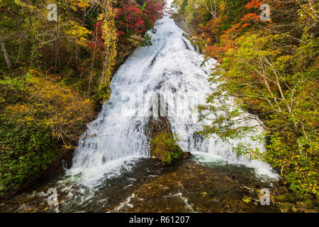 Yudaki fällt im Herbst Jahreszeit an Nikko National Park, Nikko, Japan. Stockfoto