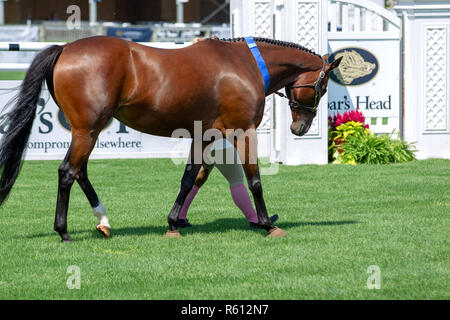 BRIDGEHAMPTON, NY - 26. August: Atmosphäre im Hampton Classic Horse Show Gelände am 26. August 2018 in Bridgehampton, New York. (Foto von Steve Mack/S.D. Mack Bilder für Ergun Khorchin) Stockfoto