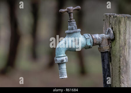 Eine Nahaufnahme eines alten Leitungswasser mit einem Schlauch Verschraubung befestigt ist, zu einer alten hölzernen Pfosten in einem Wald. Stockfoto