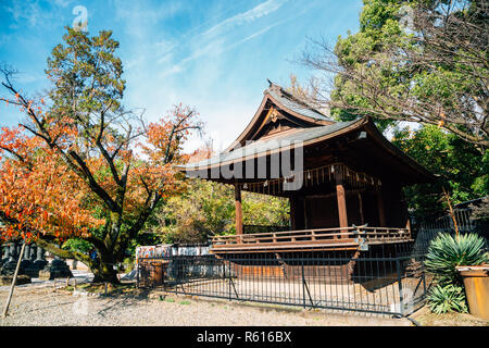 Toshogu Schrein mit Herbst Ahorn bei Ueno Park in Tokio, Japan. Stockfoto