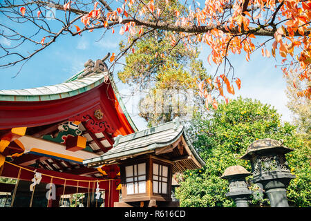 Toshogu Schrein mit Herbst Ahorn bei Ueno Park in Tokio, Japan. Stockfoto