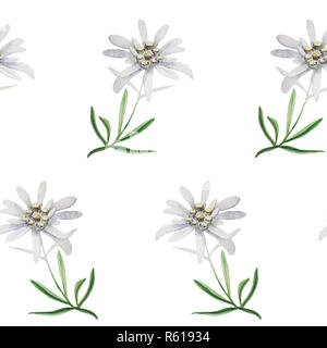 Edelweiss Blume symbol Alpinismus Alpen Deutschland Logo Stockfoto