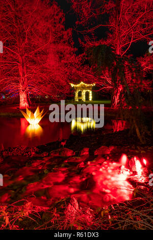 RHS Wisley Weihnachtsbeleuchtung in Woking - Am Samstag, den 1. Dezember 2018 Stockfoto