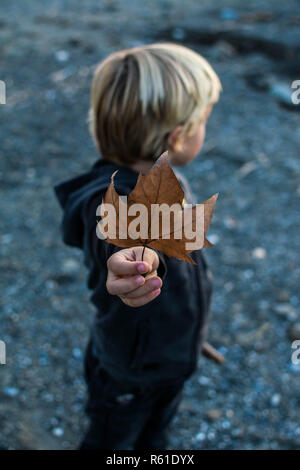Der Junge mit dem alten Maple Leaf in seiner Hand. Stockfoto
