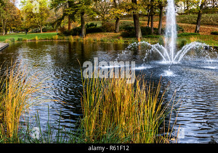 Fulda Schlossgarten in herbstlichen Farben Stockfoto