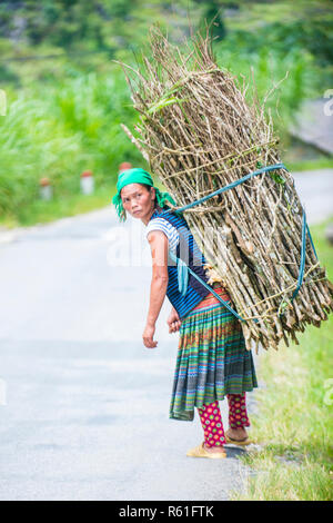 Vietnamesische Landwirt in einem Countrside in der Nähe von Ha Giang Vietnam Stockfoto