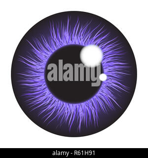 Purple Iris Auge realistisch vektor design auf weißem Hintergrund einstellen Stockfoto