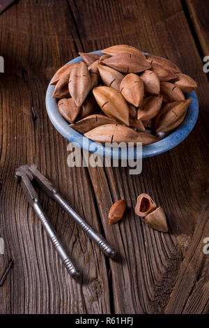 Canarium ovatum, allgemein bekannt als Pili ist eine Pflanzenart aus der Gattung der tropischen Baum Stockfoto