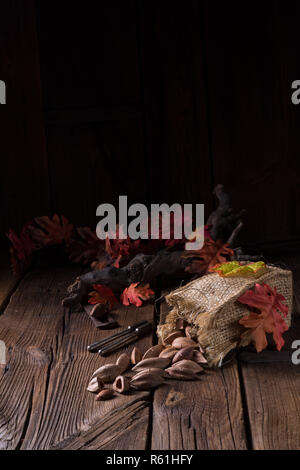 Canarium ovatum, allgemein bekannt als Pili ist eine Pflanzenart aus der Gattung der tropischen Baum Stockfoto