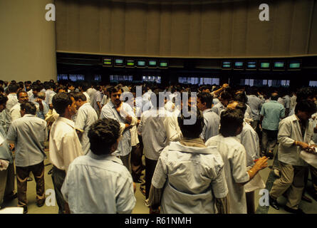 Börsenmakler inside Börse ring, Bombay, Mumbai, Maharashtra, Indien Stockfoto