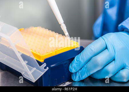 Wissenschaftler Anhängen einer Einweg Tipp zu einer Mikropipette Stockfoto