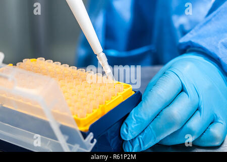 Wissenschaftler Anhängen einer Einweg Tipp zu einer Mikropipette Stockfoto