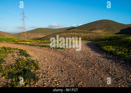 Gabel in der Straße in den Hügeln um Sidi Ifni, Marokko Stockfoto