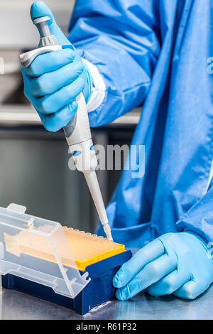 Wissenschaftler Anhängen einer Einweg Tipp zu einer Mikropipette Stockfoto