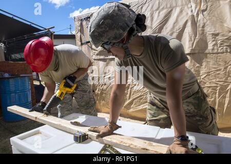 Armee SPC. Jennifer Mapa 797 . Ingenieur Gesellschaft, hält eine 2 x 4 Stück Holz für die US Air Force Senior Airman Graf Lorenzo, rasch verlegbare Schweren operativen Reparatur Squadron Ingenieure strukturelle Facharbeiter, um zu helfen, ein Dach für ein Haus in der Ortschaft Koblerville, Saipan, Commonwealth der Nördlichen Marianen, Nov. 20, 2018 bauen, als Teil des Dachs Gebäude in Unterstützung der Super Typhoon Yutu Hilfsmaßnahmen. Service Mitglieder aus der gemeinsamen Region Marianas und US-Indo-Befehl sind, Verteidigungsministerium, Unterstützung der Zivilgesellschaft und lokalen Beamten der CNMI als Teil der Stockfoto