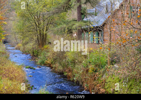 Selketal forsthaus Wire Train selketal - rose Harz Stockfoto