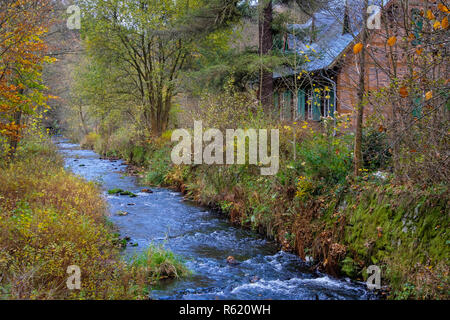 Selketal forsthaus Wire Train selketal - rose Harz Stockfoto