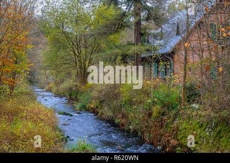 Selketal forsthaus Wire Train selketal - rose Harz Stockfoto