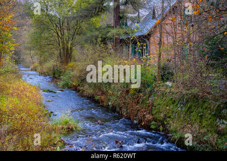 Selketal forsthaus Wire Train selketal - rose Harz Stockfoto