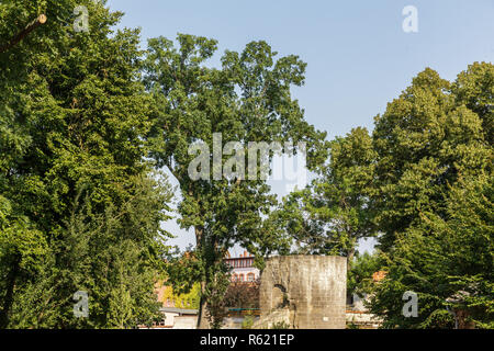 Stadt Quedlinburg Stadtansichten Stockfoto