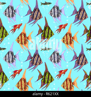 Kaiserfische, Fancy Hi-fin Swordtail und Zwerg pencilfish, nahtlose Muster, Hand doodle gezeichnet, Skizze im Pop Art Stil, Farbe Abbildung: Stockfoto