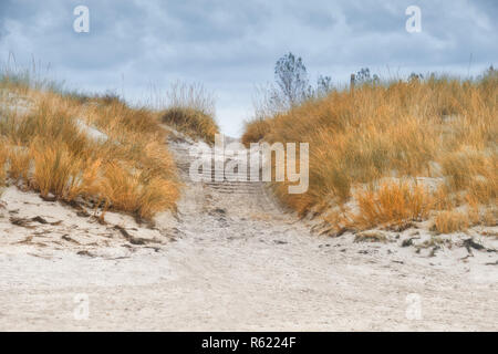 Schützende Gras hält Sandstrände in Insel Rügen, Norddeutschland, auf der Ostsee. Eingang zum Strand durch die Dünen auf der Insel Hiddensee Stockfoto