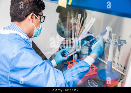 Junge Wissenschaftler in einer laminaren Strömung Kabinett im Labor arbeiten Stockfoto
