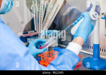 Junge Wissenschaftler in einer laminaren Strömung Kabinett im Labor arbeiten Stockfoto