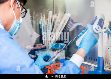 Junge Wissenschaftler in einer laminaren Strömung Kabinett im Labor arbeiten Stockfoto
