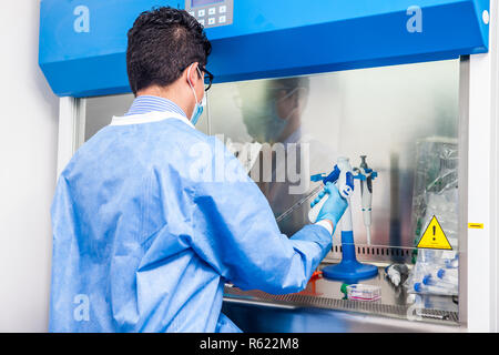 Junge Wissenschaftler in einer laminaren Strömung Kabinett im Labor arbeiten Stockfoto