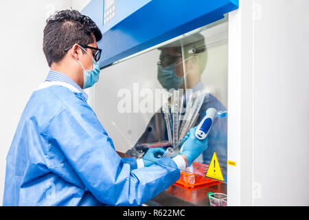 Junge Wissenschaftler in einer laminaren Strömung Kabinett im Labor arbeiten Stockfoto