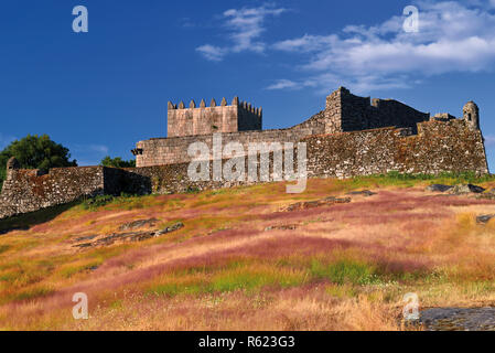 Mittelalterliche Burg mit Turm und Mauern Ruine Stockfoto