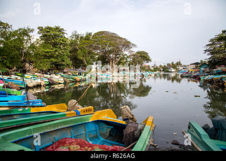 Fischerboote am Strand von Negombo Lagoon Stockfoto