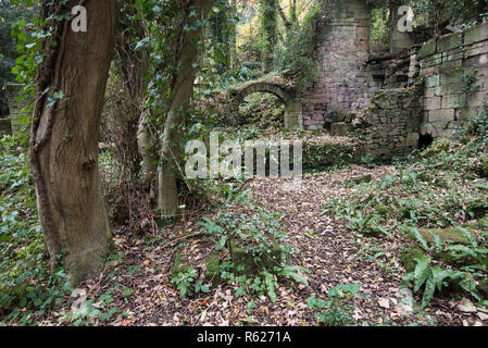 Die Ruinen der alten Mühlen am Lumsdale am Stadtrand von Matlock. Rea des industriellen Erbes entfernt im Wald versteckt. Stockfoto