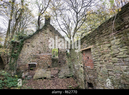 Die Ruinen der alten Mühlen am Lumsdale am Stadtrand von Matlock. Rea des industriellen Erbes entfernt im Wald versteckt. Stockfoto