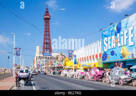 Blackpool Tower und der Promenade mit der Sealife Center Aquarium Vergnügungen und Pferdewagen, Blackpool Lancashire England GB UK Europa Stockfoto