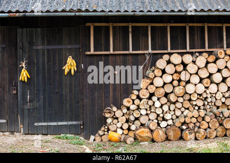 Ordentlich Haufen hackte Brennholz Brennholz für den Winter im Vintage Holz- scheune Wand mit Schieferdach, Leiter und Maiskolben Bundles auf bri vorbereitet gestapelt Stockfoto